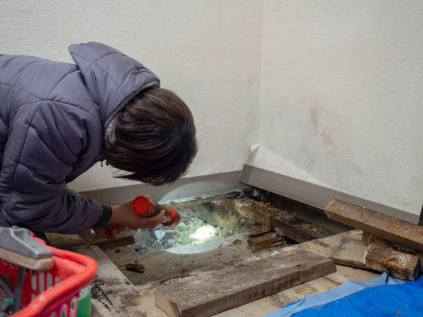 Best Mold Damage Restoration  in Old Bethpage, NY