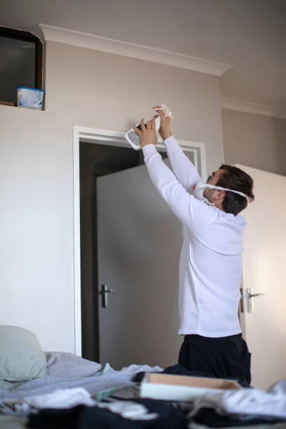 Reliable Old Bethpage, NY Mold Removal Solutions
