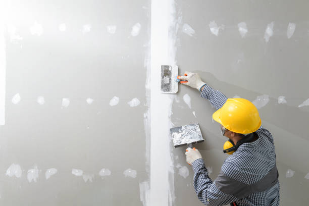 Best Commercial Mold Inspection  in Old Bethpage, NY