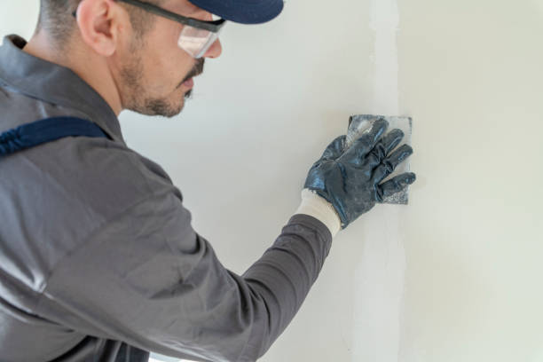 Best Air Quality Testing for Mold Spores  in Old Bethpage, NY