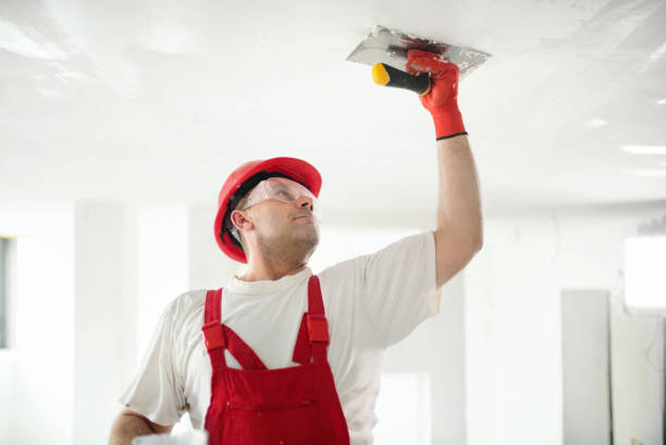 Best Black Mold Removal  in Old Bethpage, NY