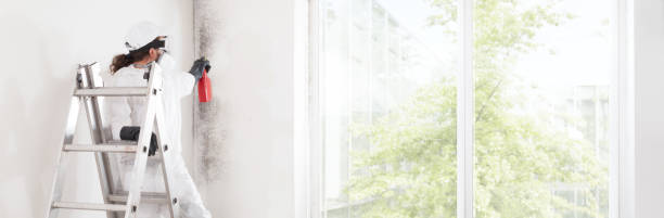 Best Post-Construction Mold Inspection  in Old Bethpage, NY