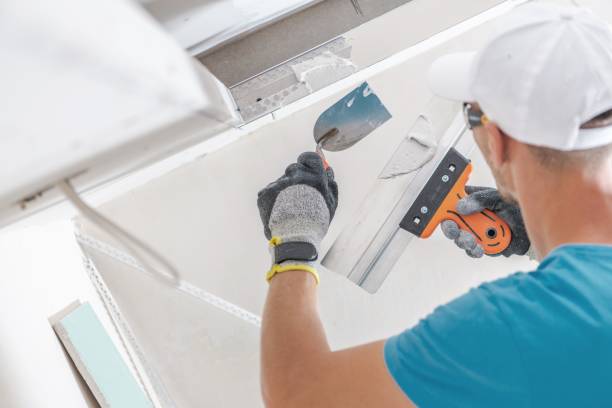 Best Industrial Mold Remediation  in Old Bethpage, NY
